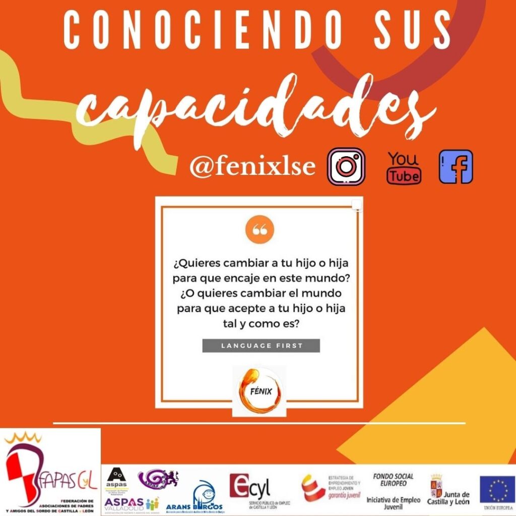 Mónica y el proyecto Fénix