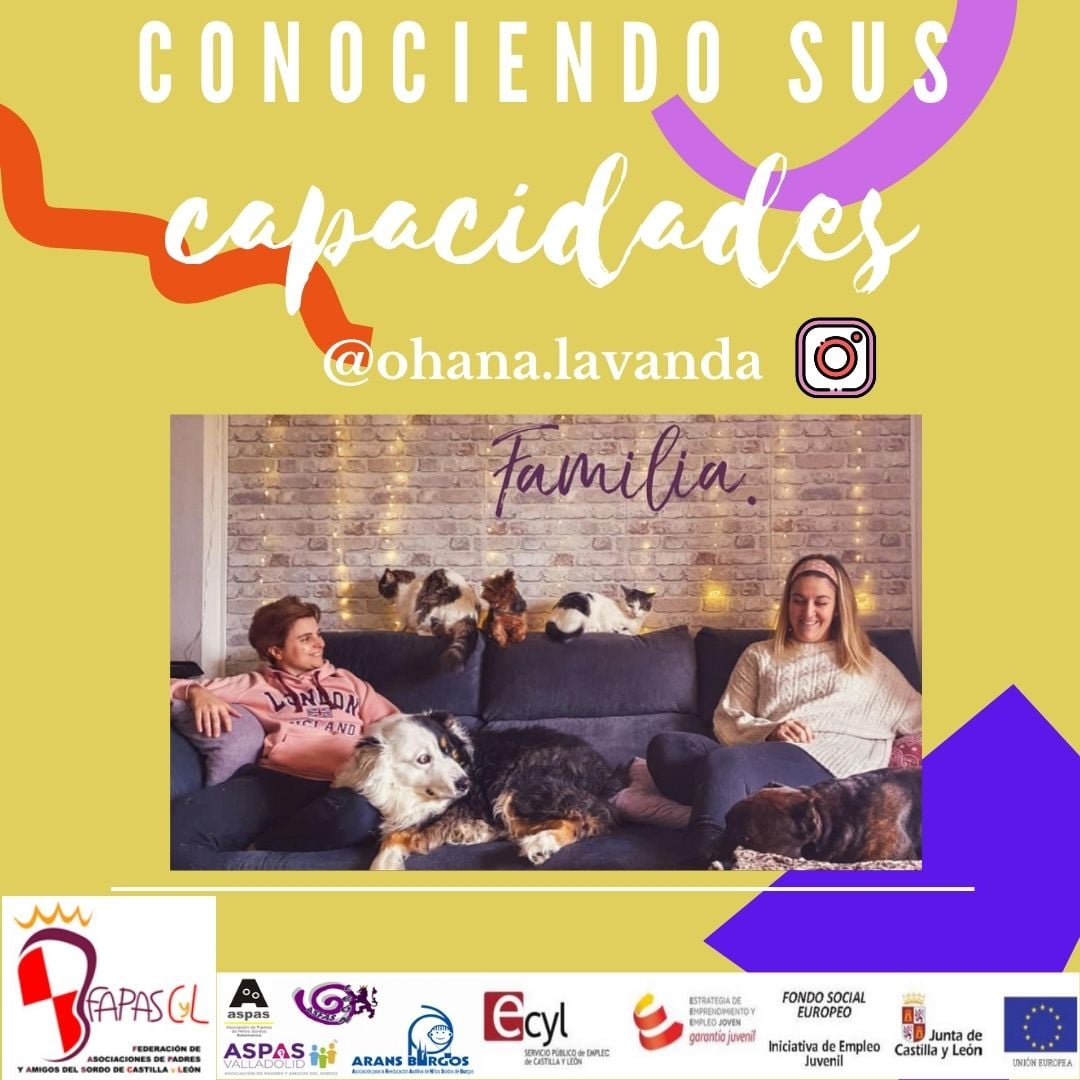 ohana.lavanda
